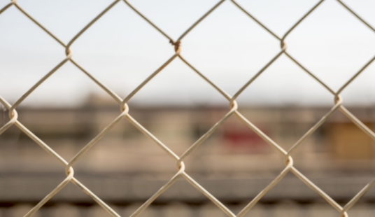 close-up-chain-link-fence